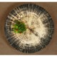 Colosseum asztalipatikához borsszóró 7 cm