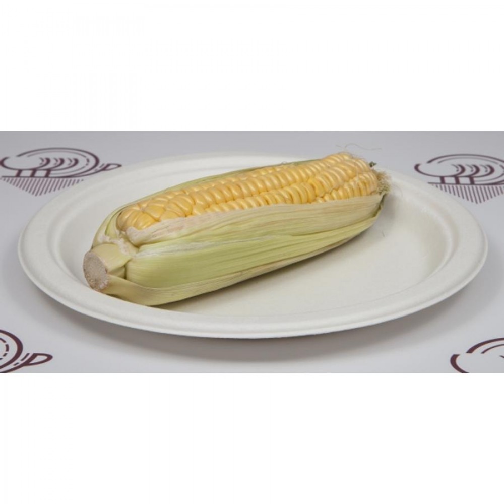 Komposztálható lapostányér 24,5 cm 125 db