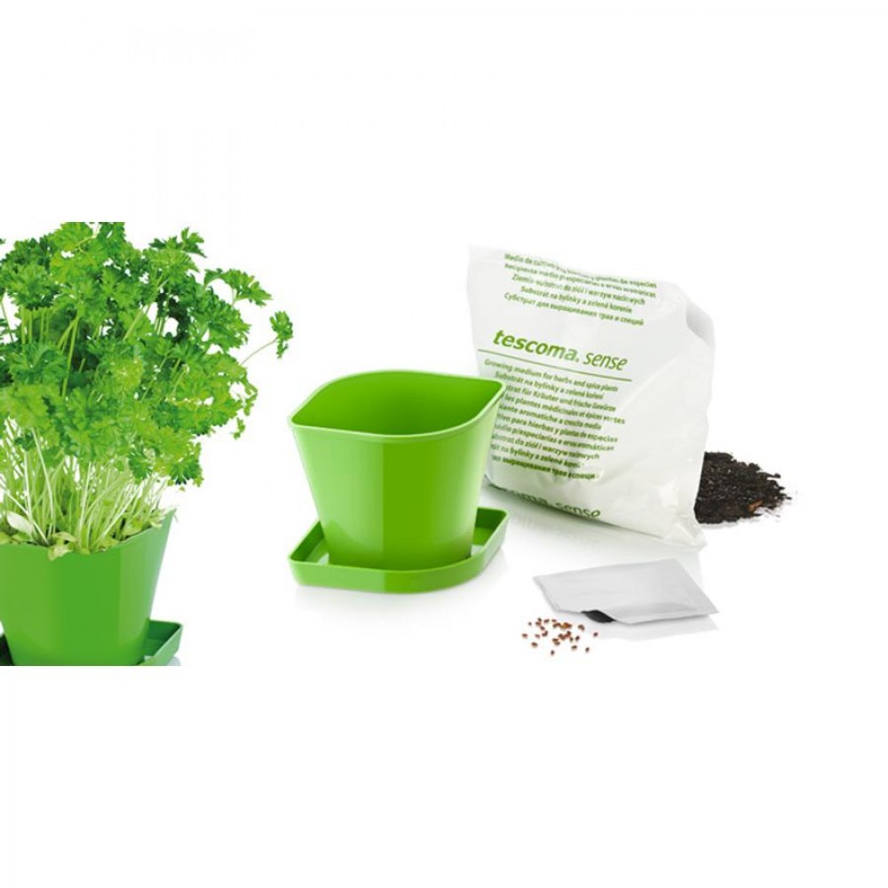 SENSE fűszernöv. term.szett,petrezselyem