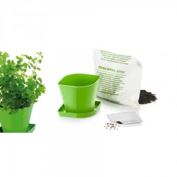 SENSE fűszernöv.term. szett, koriander