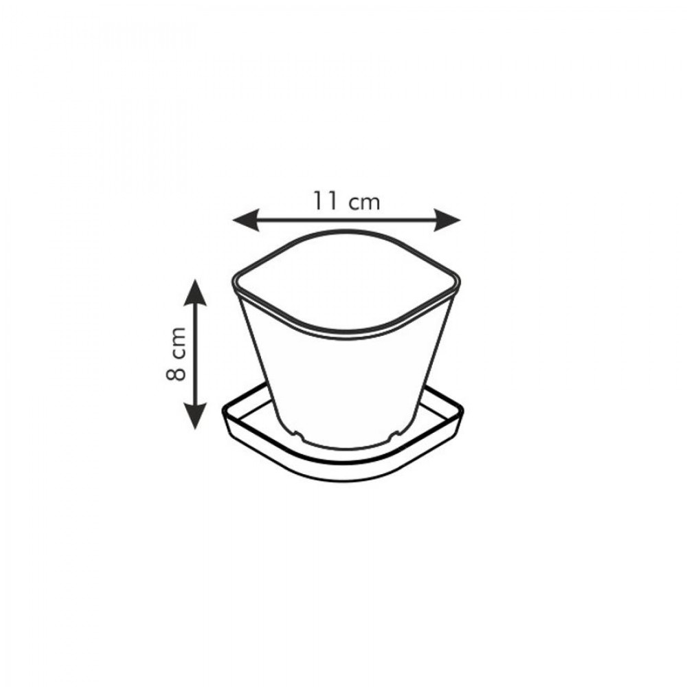 SENSE fűszernöv.term. szett, koriander